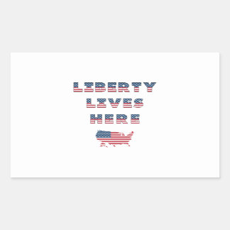 USA Elections Party Collection!  Rectangular Sticker