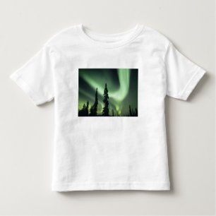 USA, Fairbanks area, Central Alaska, Aurora 2 Toddler T-Shirt