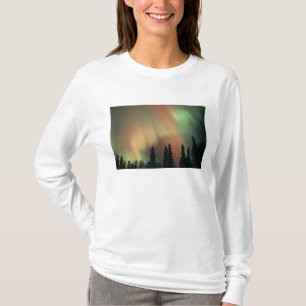 USA, Fairbanks area, Central Alaska, Aurora 3 T-Shirt