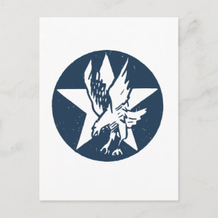 USA Fighting Squadron Insignia Postcard