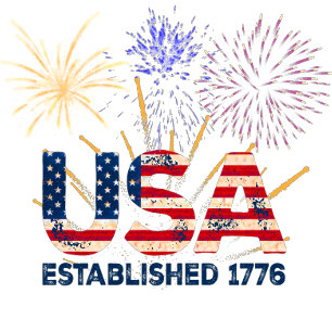 USA fireworks established 1776 T-Shirt