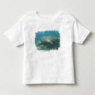 USA, FL, Manatee Toddler T-Shirt