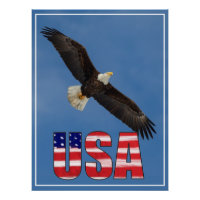 USA Flag And Bald Eagle
