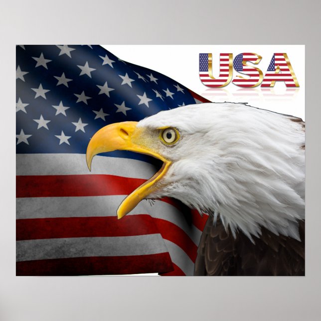 Usa flag-bald eagle poster (Front)