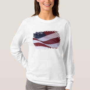 USA flag, North Carolina, USA T-Shirt