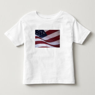 USA flag, North Carolina, USA Toddler T-Shirt