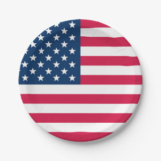 USA Flag Paper Plate