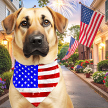 USA flag patriotic