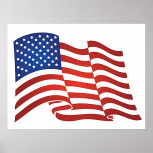 USA flag Poster