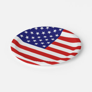 USA Flag ppcn Paper Plate