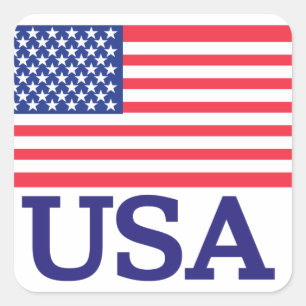 USA Flag Square Sticker