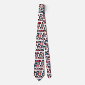 USA Flag Text Tie