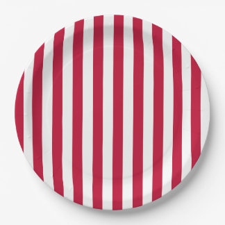 USA Flag Themed Red and White Stripes Pattern Paper Plate