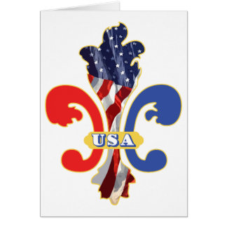 USA Fleur de lis