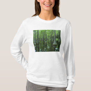 USA, Florida, Apalachicola National Forest, Bald T-Shirt