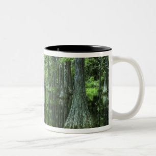 USA, Florida, Apalachicola National Forest, Bald Two-Tone Coffee Mug