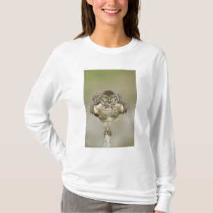 USA, Florida, Cape Coral, Close-up of burrowing T-Shirt