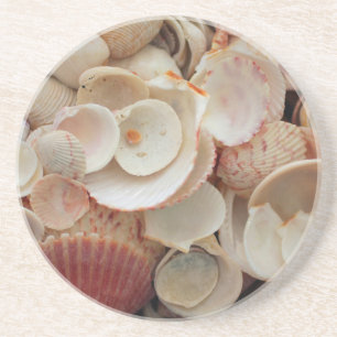 USA, Florida. Close Up Of Shells On Santa Rosa Coaster