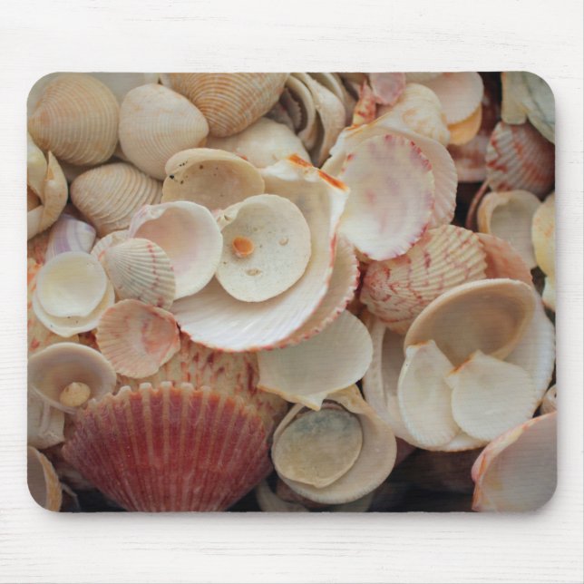 USA, Florida. Close Up Of Shells On Santa Rosa Mouse Pad (Front)
