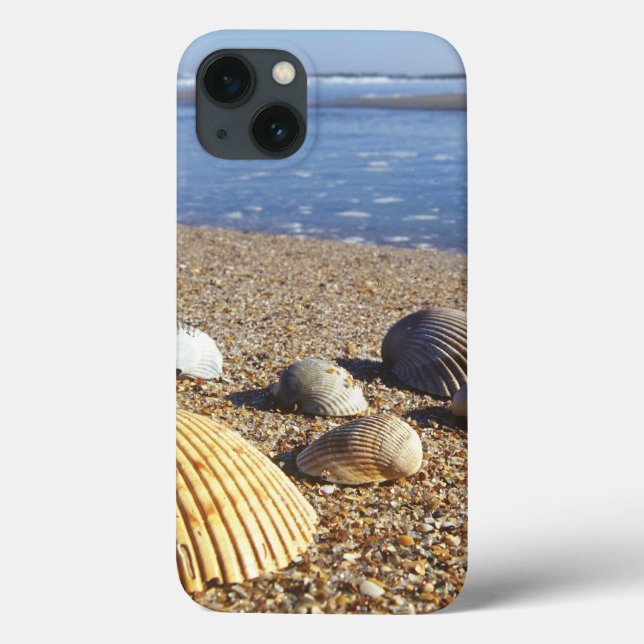 USA, Florida, Coastal Sea Shells Case-Mate iPhone Case (Back)