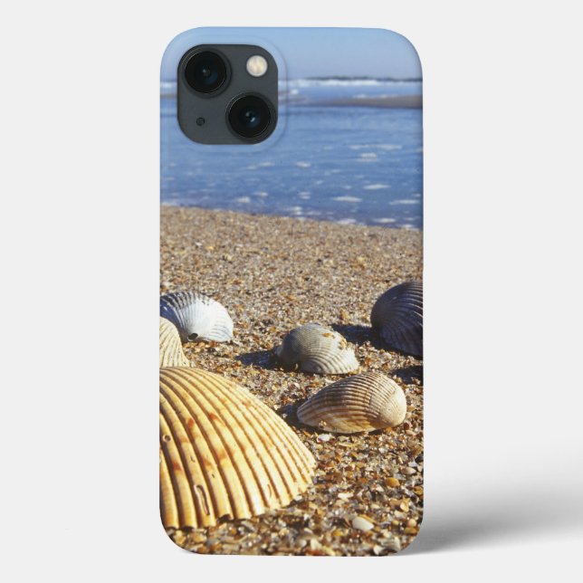 USA, Florida, Coastal Sea Shells Case-Mate iPhone Case (Back)