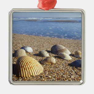 USA, Florida, Coastal Sea Shells Metal Tree Decoration
