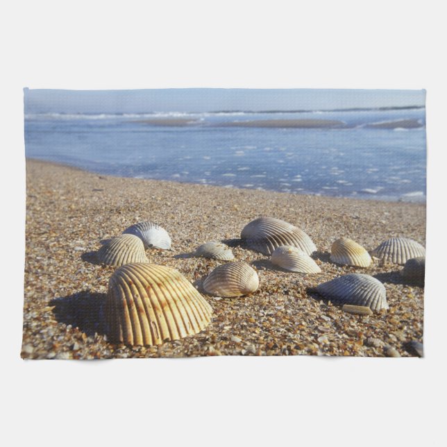 USA, Florida, Coastal Sea Shells Tea Towel (Horizontal)
