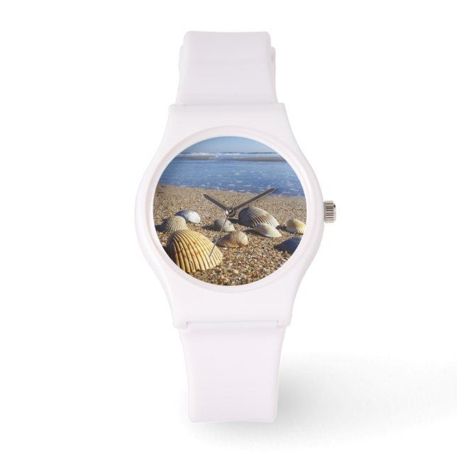 USA, Florida, Coastal Sea Shells Watch (Front)