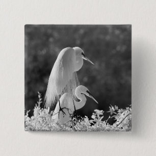 USA, Florida, Great Egret (Ardea alba) infrared 15 Cm Square Badge
