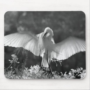 USA, Florida, Great Egret (Ardea alba) infrared 2 Mouse Pad
