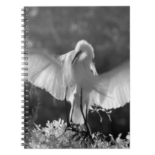 USA, Florida, Great Egret (Ardea alba) infrared 2 Spiral Notebook
