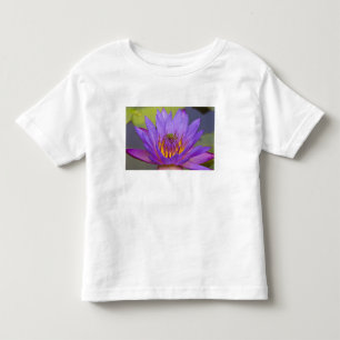 USA, Florida, Lake Kissimmee. Green leaf frog Toddler T-Shirt