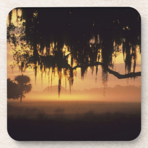 USA, Florida, Lake Kissimmee. Sunrise silhouette Coaster