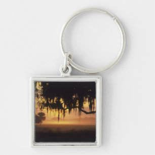 USA, Florida, Lake Kissimmee. Sunrise silhouette Key Ring