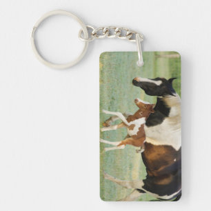 USA, Florida, Newborn Paint filly Key Ring