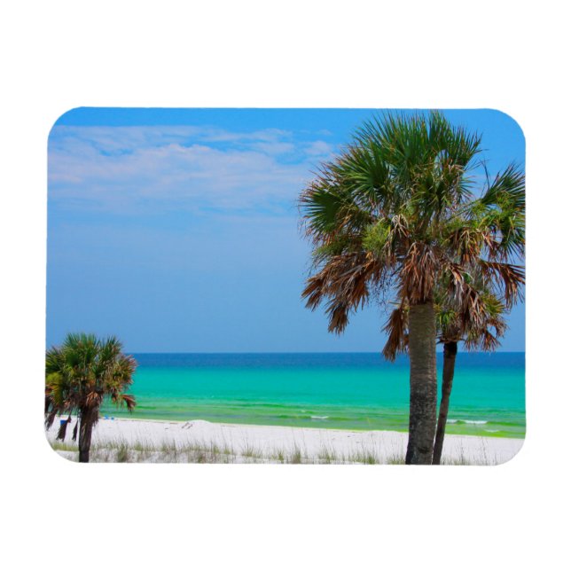 USA, Florida. Palm Trees On Emerald Coast Magnet (Horizontal)