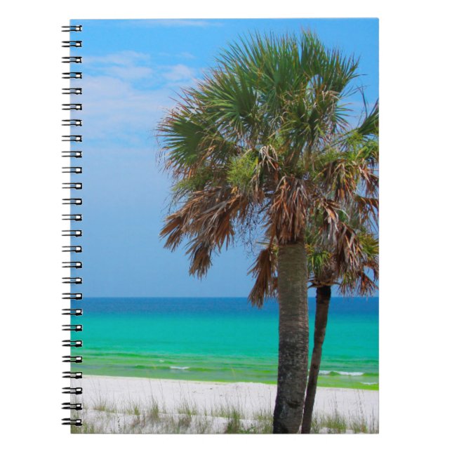 USA, Florida. Palm Trees On Emerald Coast Spiral Notebook (Front)