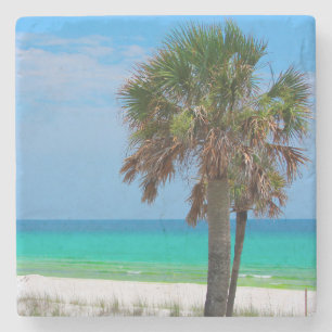 USA, Florida. Palm Trees On Emerald Coast Stone Coaster
