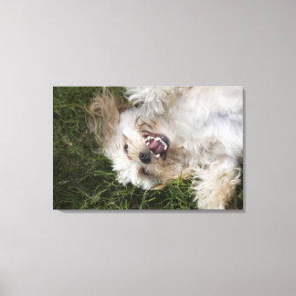 USA, Florida, Ponte Vedra Beach Canvas Print