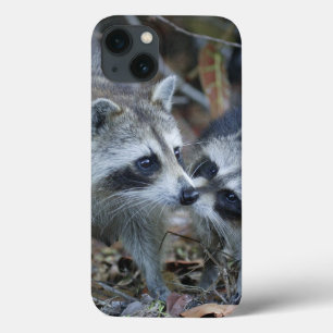 USA, Florida, Sanibel, Ding Darling National iPhone 13 Case