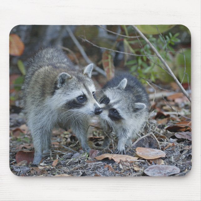 USA, Florida, Sanibel, Ding Darling National Mouse Pad (Front)