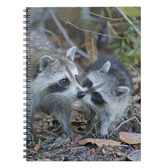 USA, Florida, Sanibel, Ding Darling National Notebook (Front)