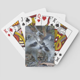 USA, Florida, Sanibel, Ding Darling National Playing Cards
