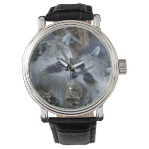 USA, Florida, Sanibel, Ding Darling National Watch