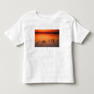 USA, Florida. Silhouettes of dead tree branches Toddler T-Shirt