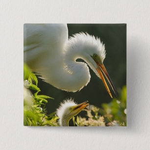 USA, Florida, St. Augustine, Alligator farm 15 Cm Square Badge