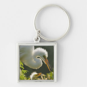 USA, Florida, St. Augustine, Alligator farm Key Ring