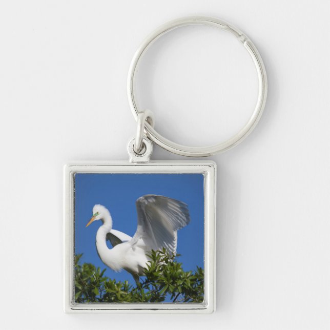 USA, Florida, St. Augustine, Egret Key Ring (Front)