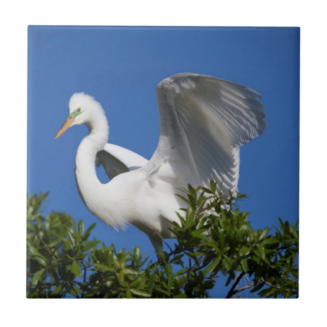 USA, Florida, St. Augustine, Egret Tile (Front)