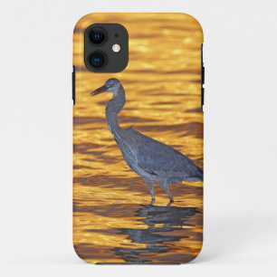 USA, Florida, St. Petersburg, Fort De Soto Park. Case-Mate iPhone Case